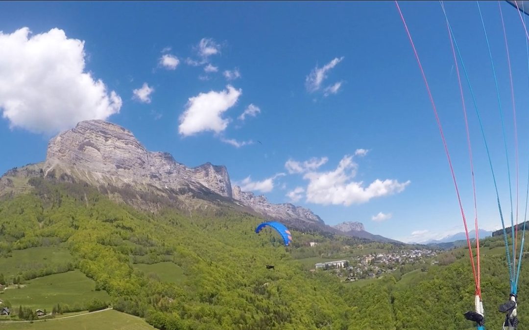 Petit cross avec les oiseaux