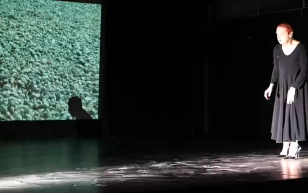 “Demetra” Anouscka Brodacsk