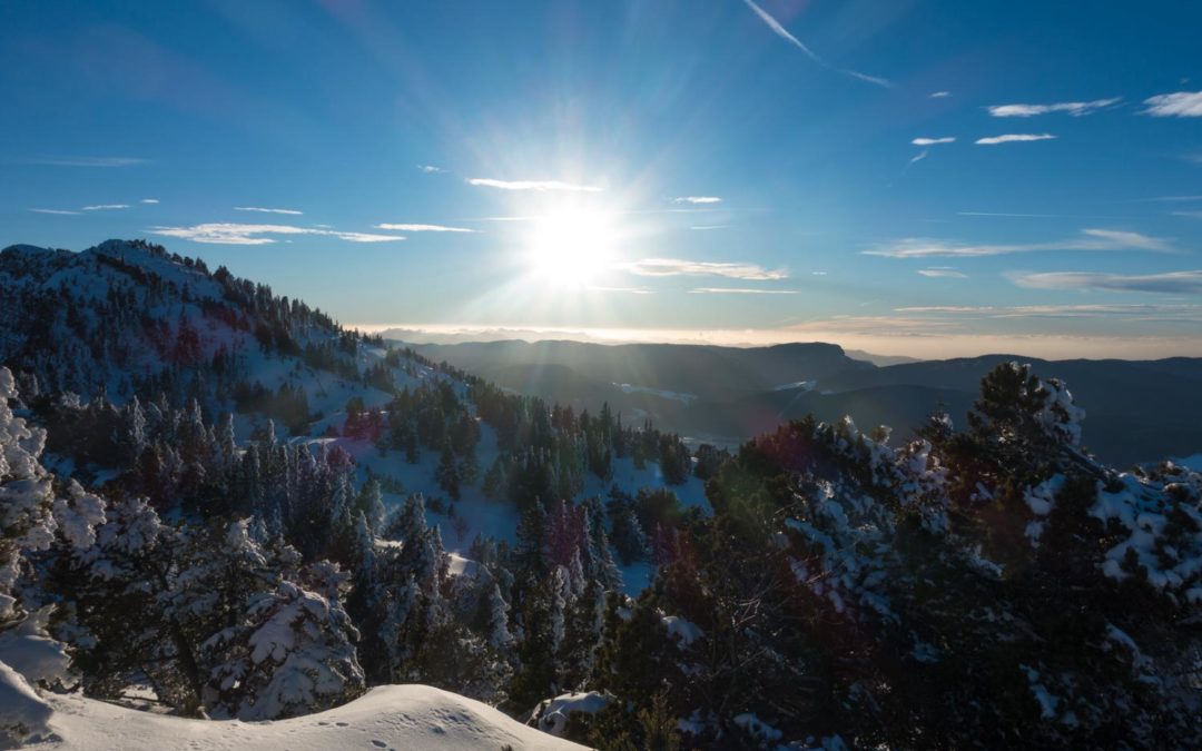 Lans – 16 jan 2019