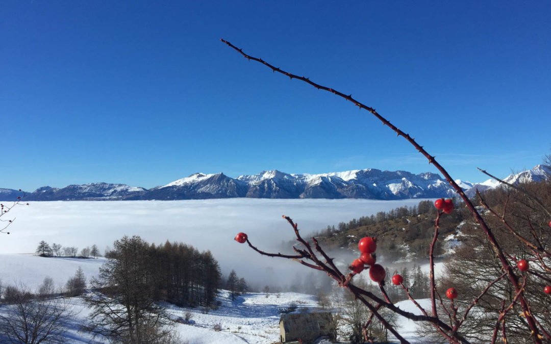 Chaillol – 1er jan 2019