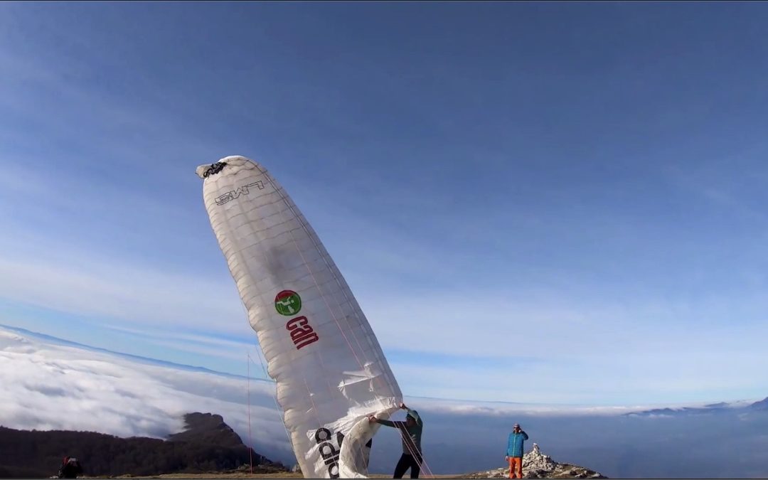 ANTOINE GIRARD – COBRA