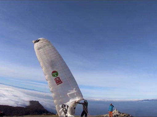 ANTOINE GIRARD – COBRA