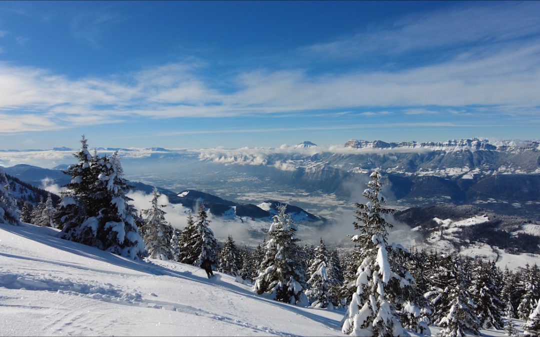 Le Grand Rocher ou la trace du sanglier – 18 janvier 2021