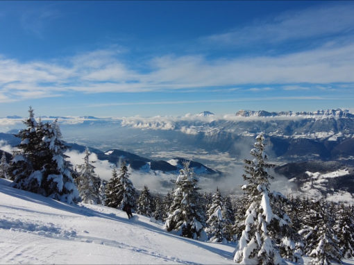 Le Grand Rocher ou la trace du sanglier – 18 janvier 2021