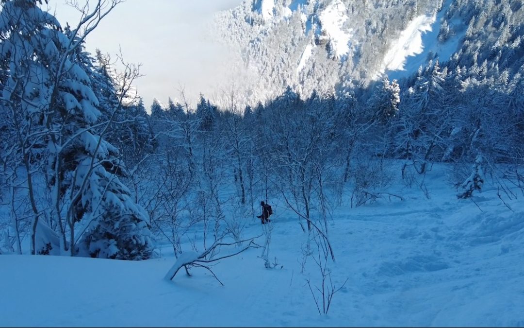 le sentier Vermorel – la Pinéa – Chartreuse – Février 2021