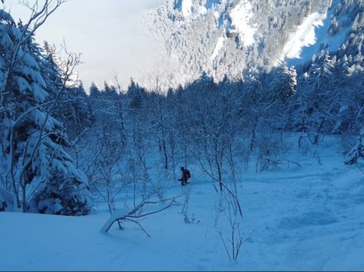 le sentier Vermorel – la Pinéa – Chartreuse – Février 2021