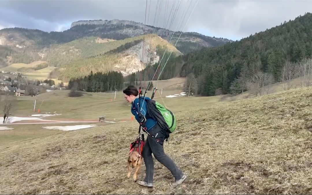 Pacha vol à l&rsquo;Aigle !