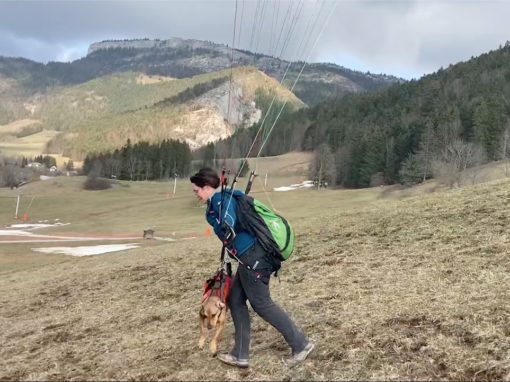 Pacha vol à l&rsquo;Aigle !