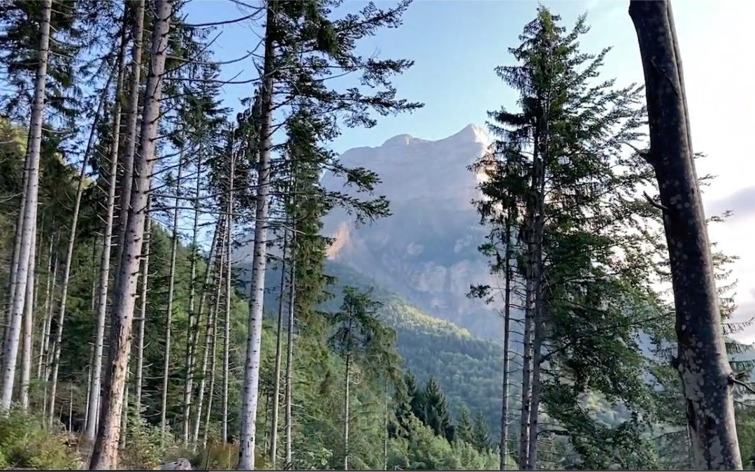 Marche et vol à la Dent 2021