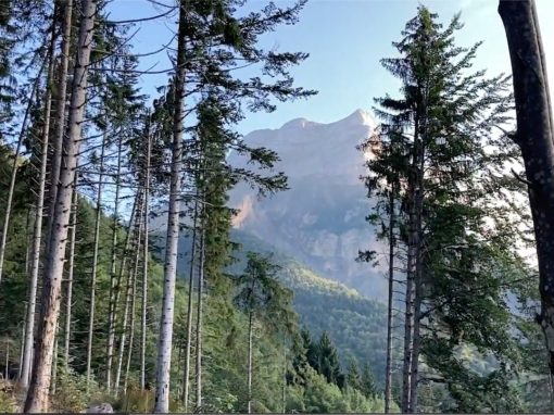 Marche et vol à la Dent 2021